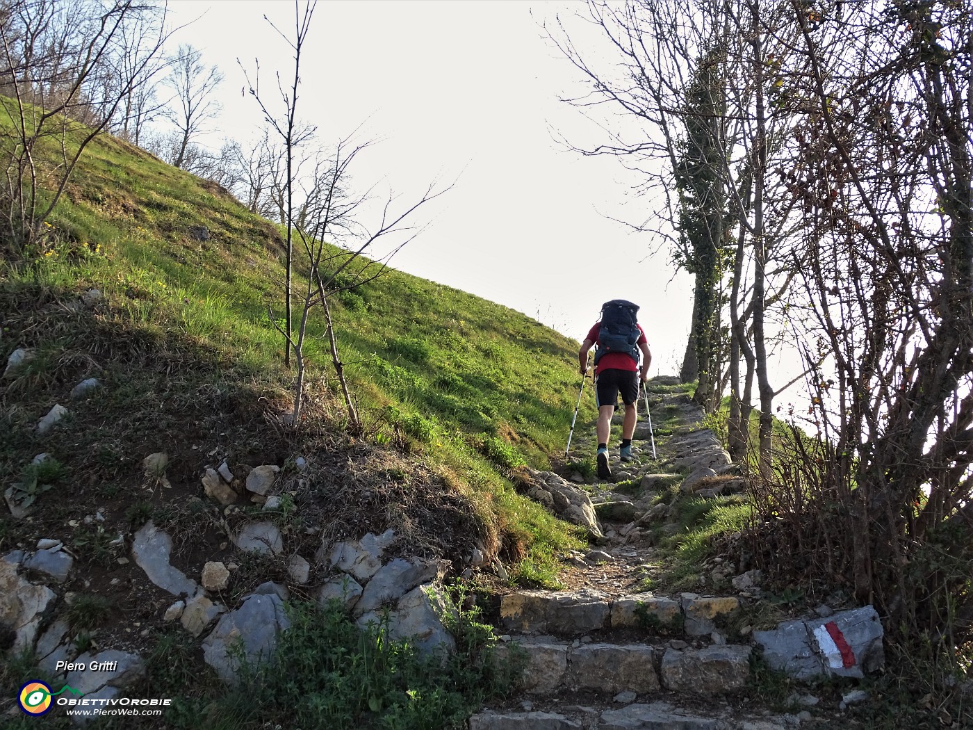 04 Sul sent. 505 per il Monte Zucco.JPG